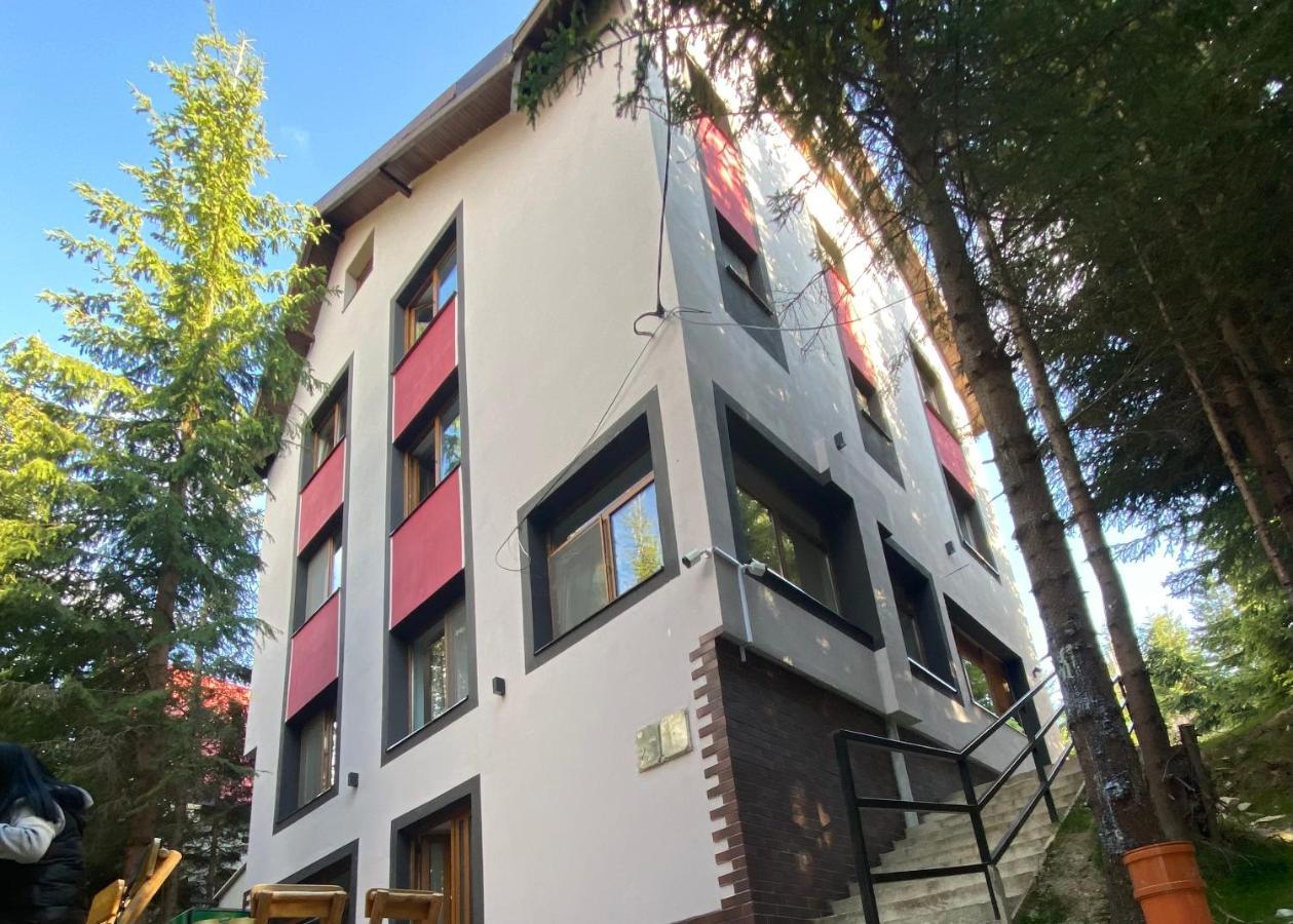Altitude Guest House Ранка Екстериор снимка